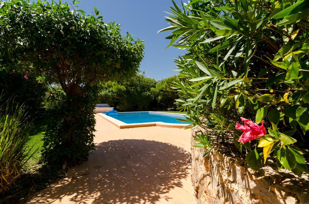Villa Do Monte Monte Raposo Oda fotoğraf